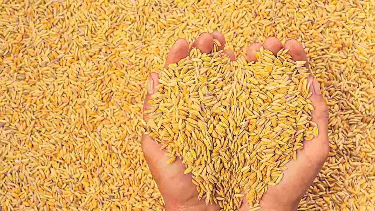 సిరులొలికే!