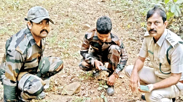 నల్లమలలో వన్యప్రాణుల గణాంకాలు