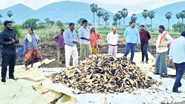 ‘దిత్వా’తో అప్రమత్తంగా ఉండాలి