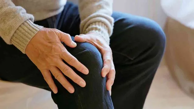 Joint Pain Relief Foods: కీళ్ల నొప్పులు అదుపులో..