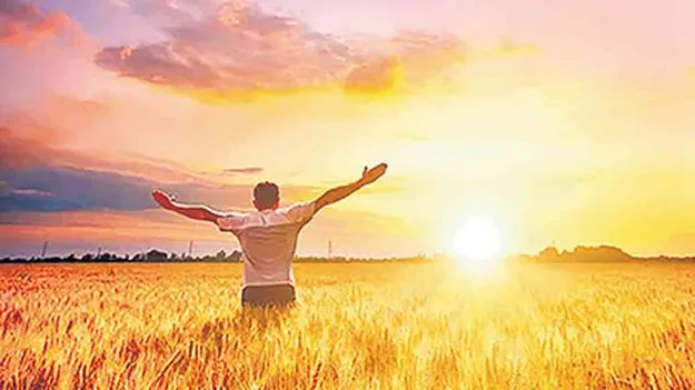 The Life Lessons: జీవన మకరందం