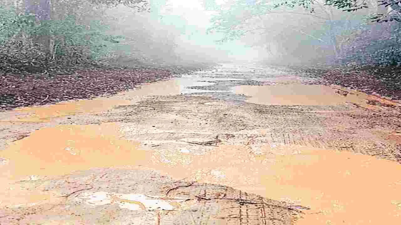 అంతర్రాష్ట్ర రహదారి అధ్వానం