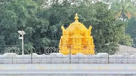 Gold Theft Allegations in Tirumala: వరాహస్వామినీ వదల్లేదు!