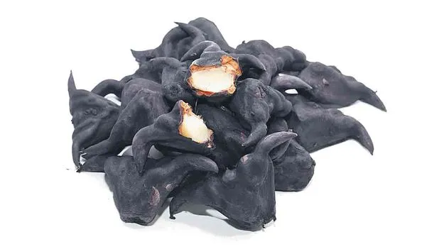 Water Chestnut Benefits: సర్వ రోగ నివారిణి