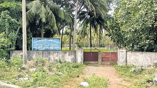 ఉద్యానంపై నిర్లక్ష్యం!