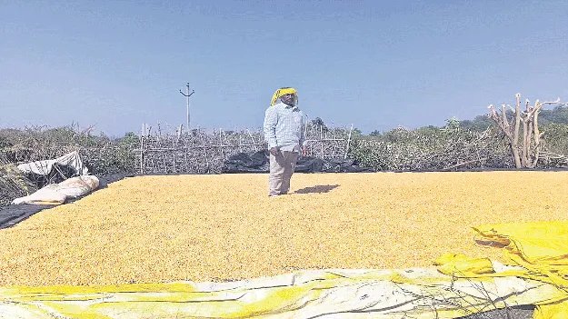 kumaram bheem asifabad- నమోదు కాక..అమ్ముకోలేక..