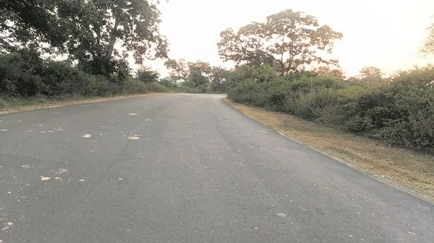 kumaram bheem asifabad- మూల మలుపులు.. తరచూ ప్రమాదాలు