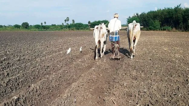 యాసంగిపైనే ఆశలు