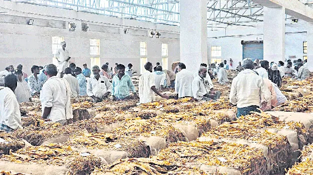  ముగిసిన పొగాకు వేలం