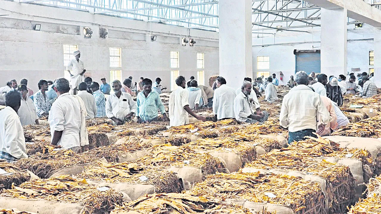  ముగిసిన పొగాకు వేలం