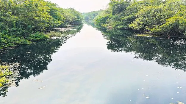 కాలుష్య కాసారం