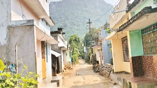 పాలసింగిలో కిడ్నీవ్యాధి