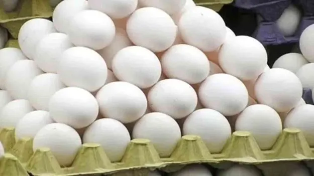 Egg Prices Soar: కొండెక్కిన కోడి గుడ్ల ధర