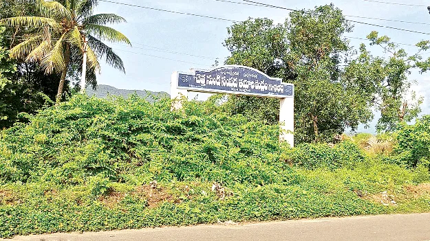 పొదలు అల్లుకొని.. పిచ్చి మొక్కలు పెరిగి