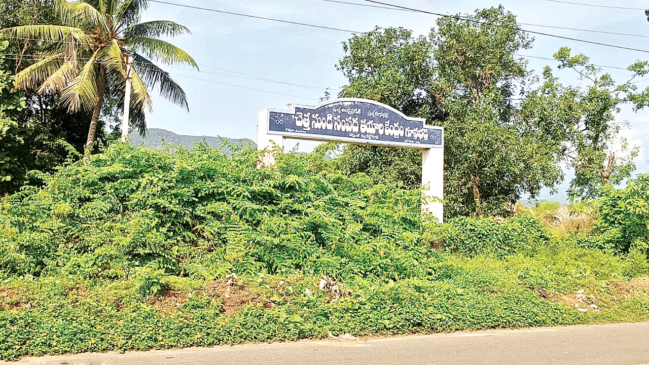 పొదలు అల్లుకొని.. పిచ్చి మొక్కలు పెరిగి