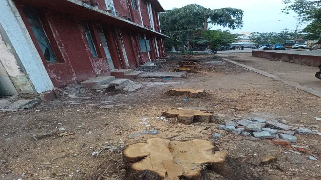 జీజీహెచలో చెట్ల నరికివేత