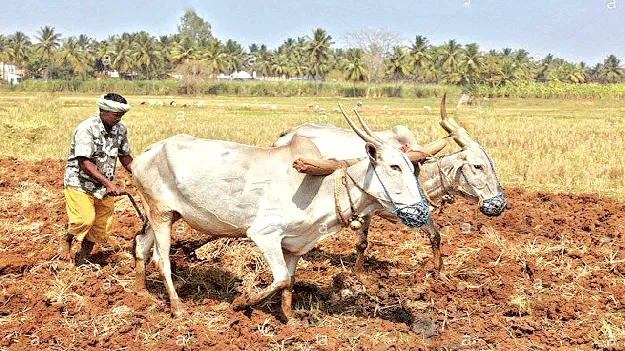 అన్నదాత సుఖీభవ 