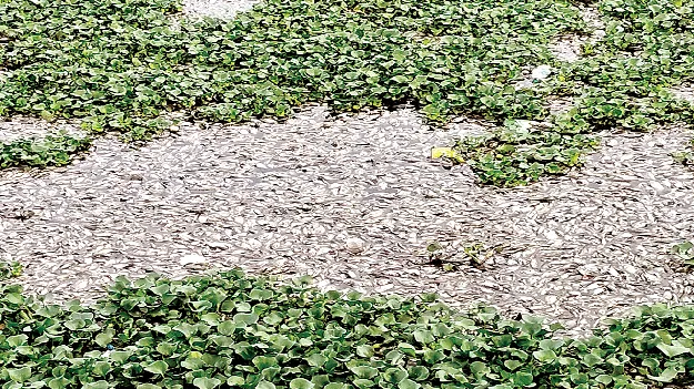 why the situatiobn is bad పెద్ద చెరువు ఎందుకిలా?