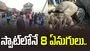 Assam Elephants Tragedy: పెను విషాదం.. రైలు ప్రమాదంలో 8 ఏనుగులు మృతి