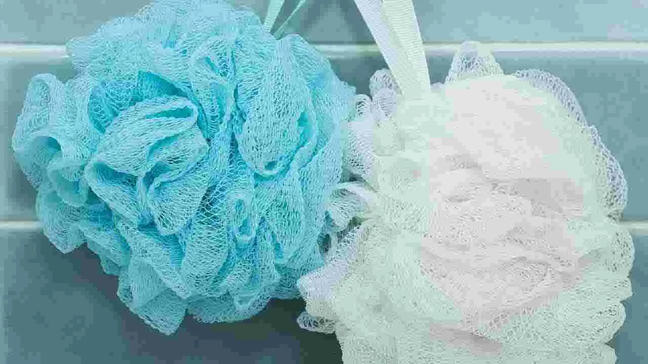 Loofah Usage Tips: లూఫా వాడుతున్నారా...