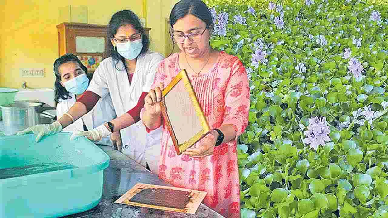 Hyacinth into High Quality Paper: కలుపు మొక్కతో కాగితం