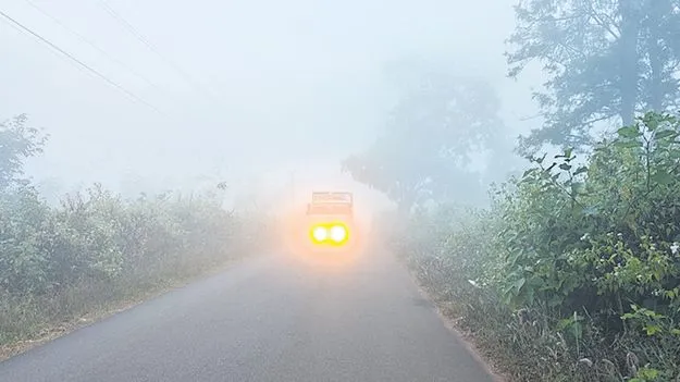 మన్యం గజగజ! 