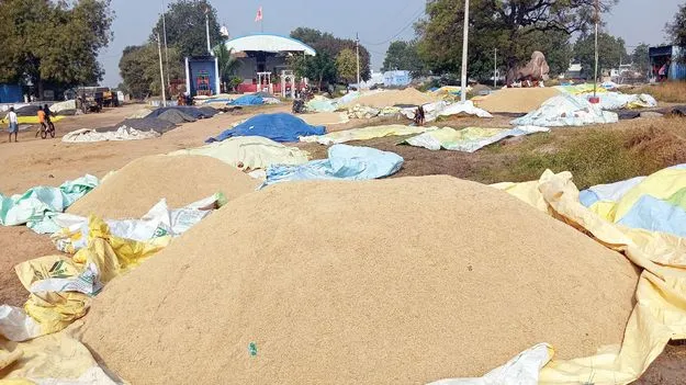 నిలిచిన ధాన్యం కొనుగోళ్లు