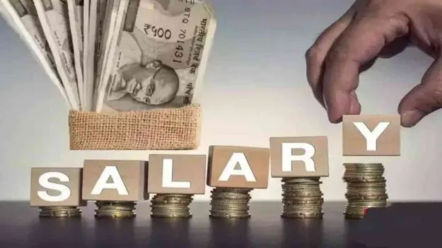 Salary Hike India 2026: వచ్చే ఏడాది జీతాల్లో 9% వృద్ధి