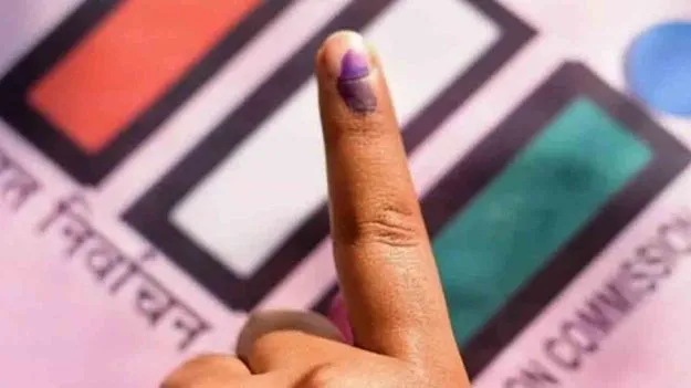 Local Body Elections: ఓటెయ్యడానికి రారాదె...