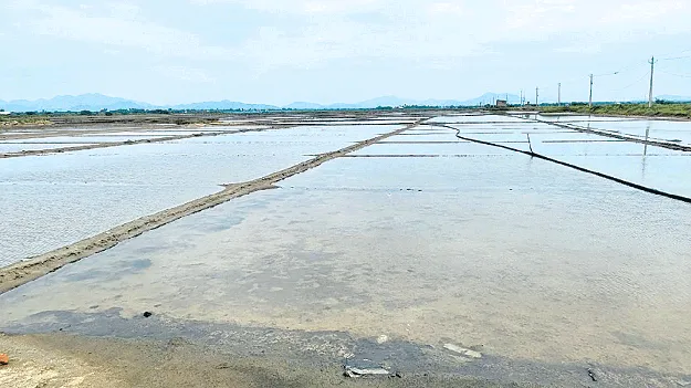 నౌపడ ఉప్పు కనుమరుగు