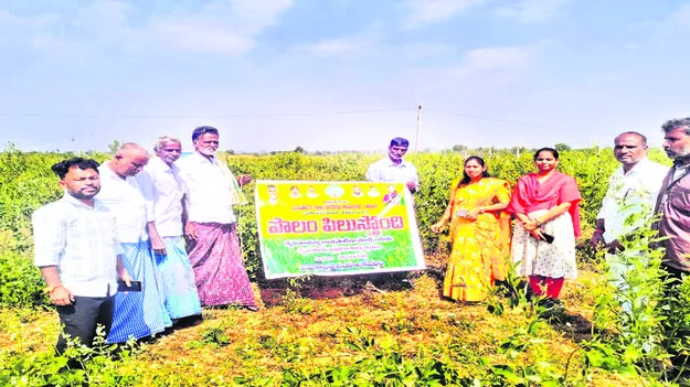 POLAM PILUSTHONDI : సర్యరక్షణ చర్యలు పాటించాలి