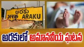 Visakhapatnam: అరకులోయలో దారుణం.. ఆస్పత్రి బాత్రూమ్‌లో మృత శిశువు కలకలం