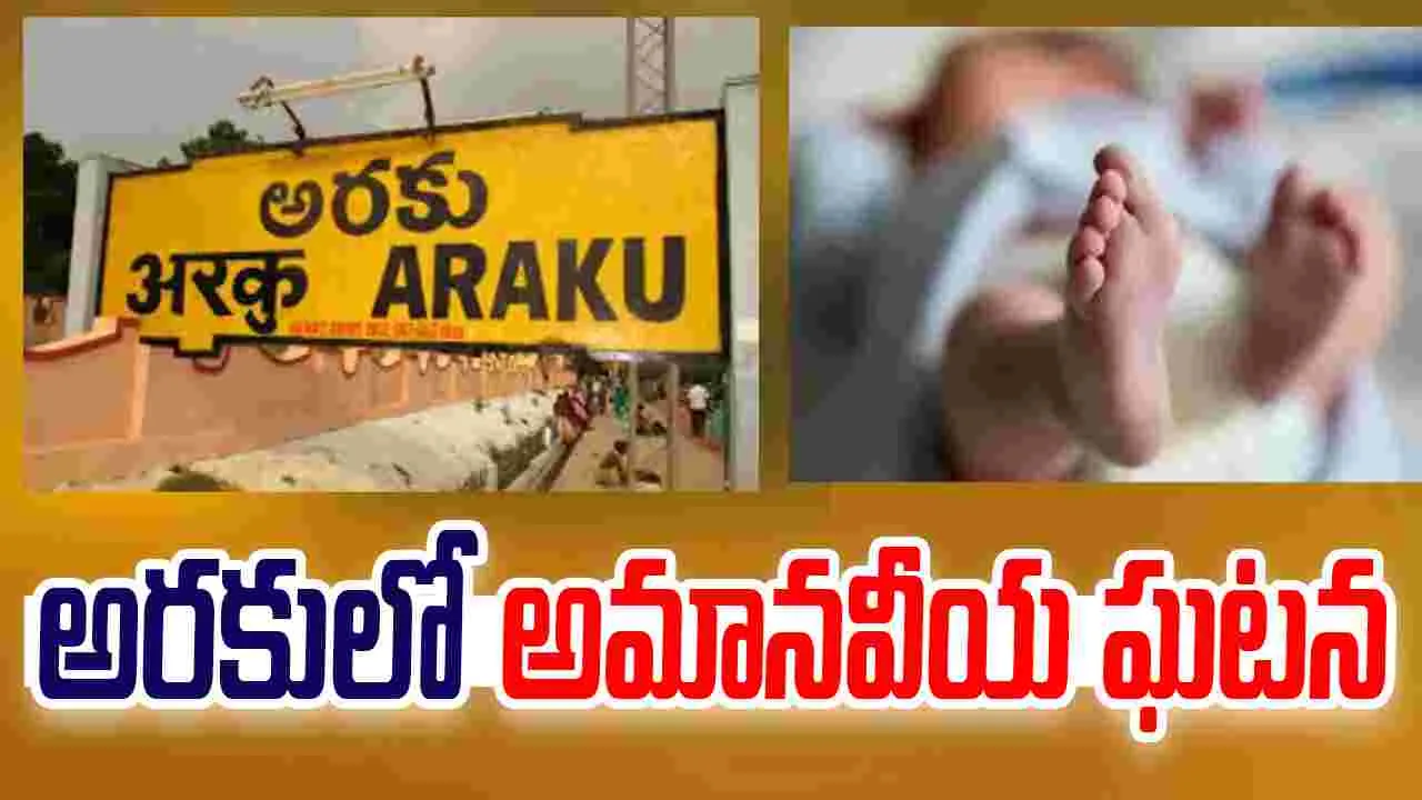 Visakhapatnam: అరకులోయలో దారుణం.. ఆస్పత్రి బాత్రూమ్‌లో మృత శిశువు కలకలం