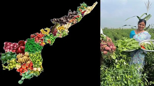AP First: పండ్లు, చేపల ఉత్పత్తి.. జీవనప్రమాణాల్లో దేశంలోనే ఆంధ్రప్రదేశ్ ఫస్ట్