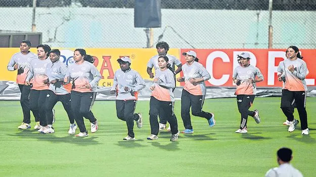 క్రికెట్‌ సందడి