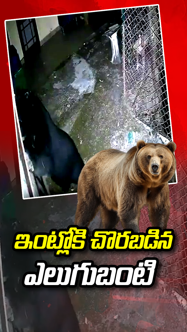 ABN Andhrajyothy Telugu Short News Video - Quick News Updates in 60 Seconds