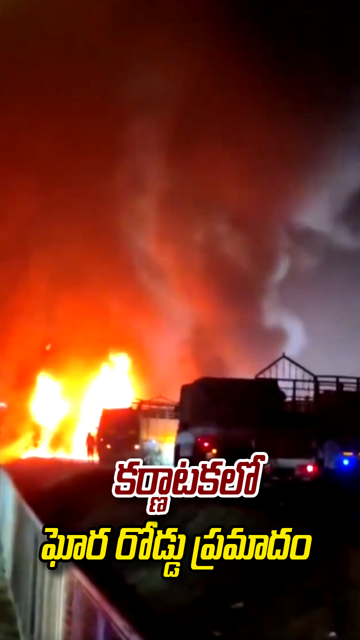 కర్ణాటకలో ఘోర రోడ్డు ప్రమాదం...