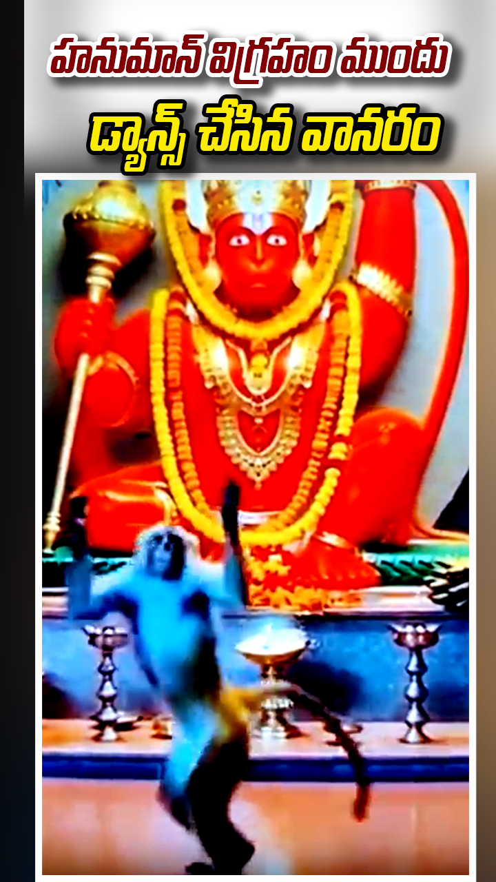 హనుమాన్ విగ్రహం ముందు డ్యాన్స్ చేసిన వానరం