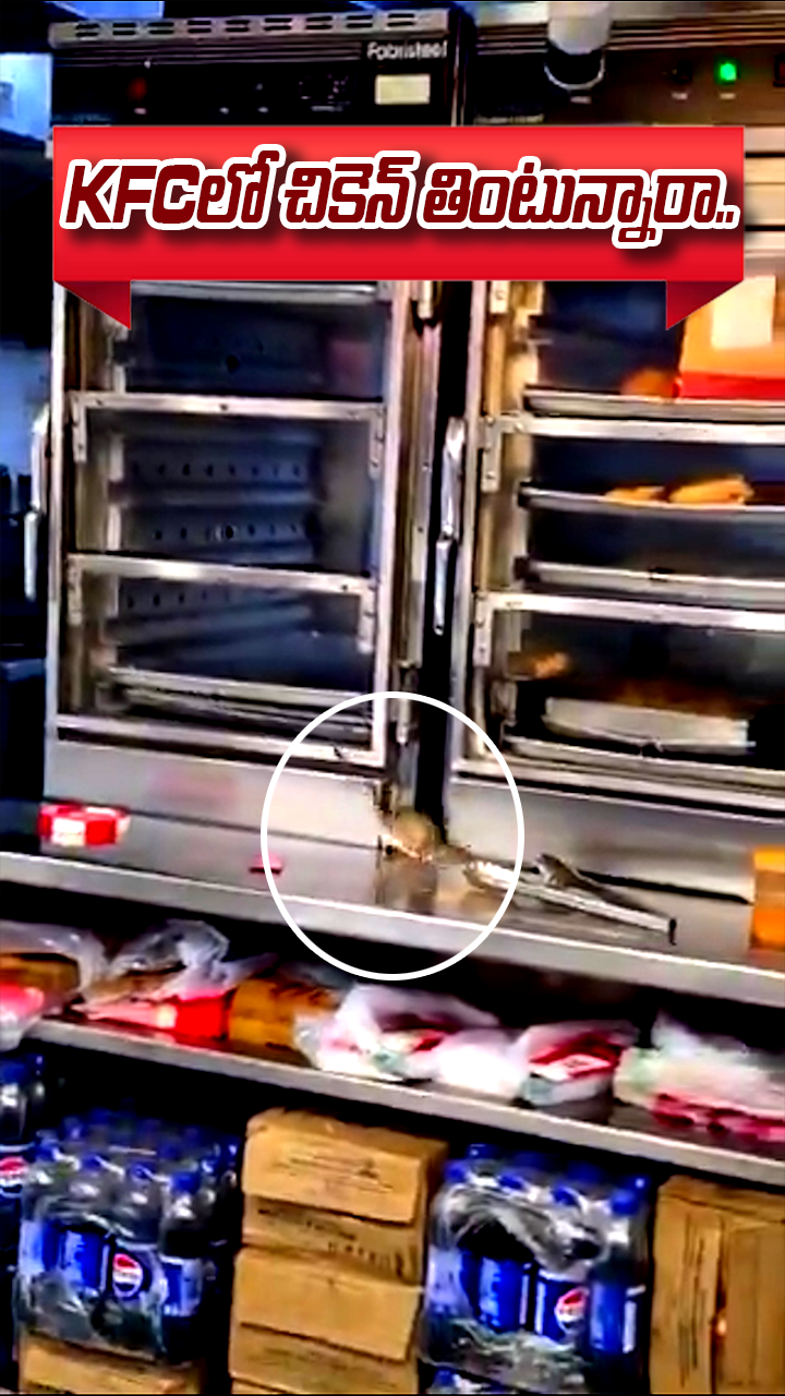 కేఎఫ్‌సీ కిచెన్‌లో ఎలుక చక్కర్లు