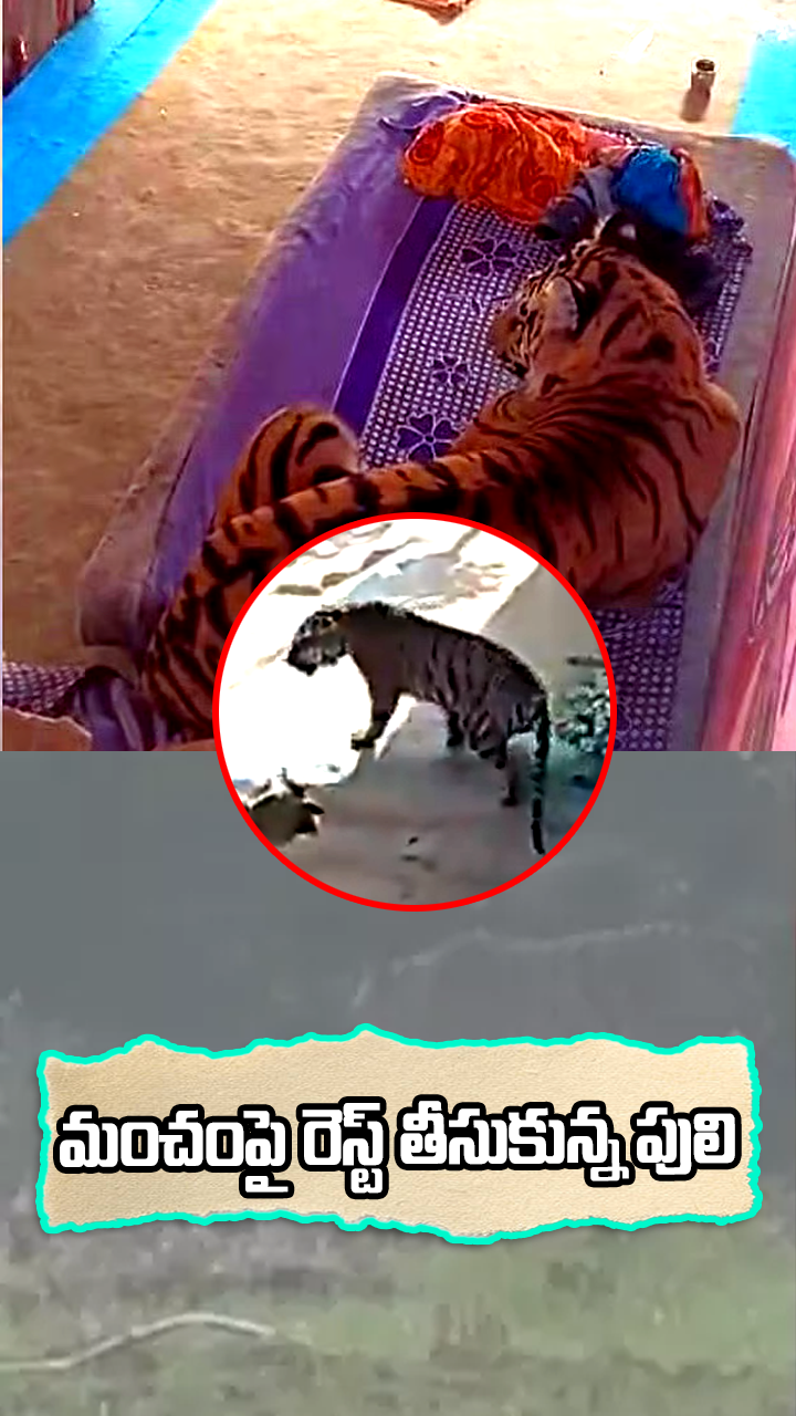 వ్యక్తిపై దాడి చేసి..