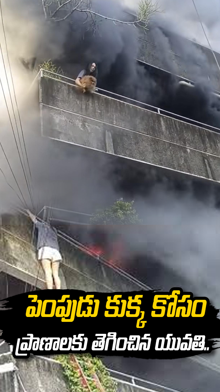 పెంపుడు కుక్క కోసం ప్రాణాలకు తెగించిన యువతి..