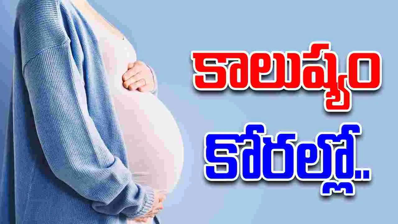 Air Pollutants: గర్భిణిలపై కాలుష్య ప్రభావం..