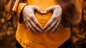 Air Pollutants: సంతానోత్పత్తితోపాటు గర్భిణులకు కాలుష్యం కాటు..