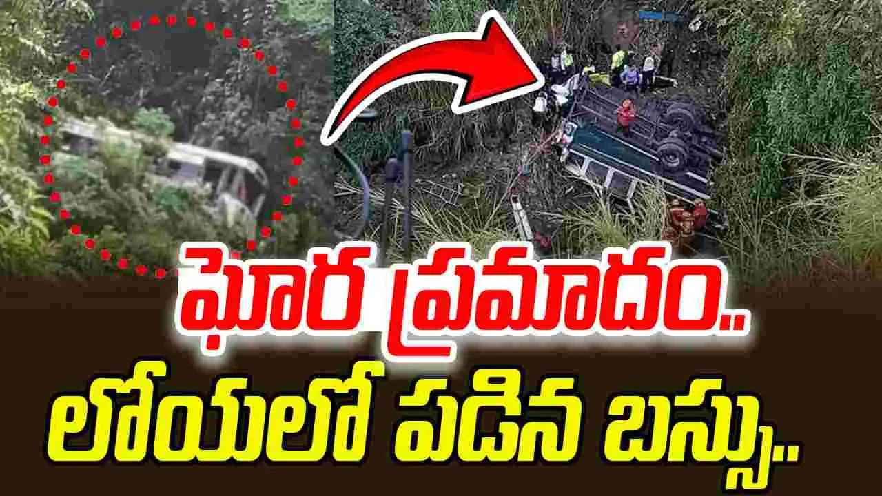 Alluri District Tragedy: అల్లూరి జిల్లాలో విషాదం.. లోయలో పడిపోయిన ట్రావెల్ బస్సు.. 