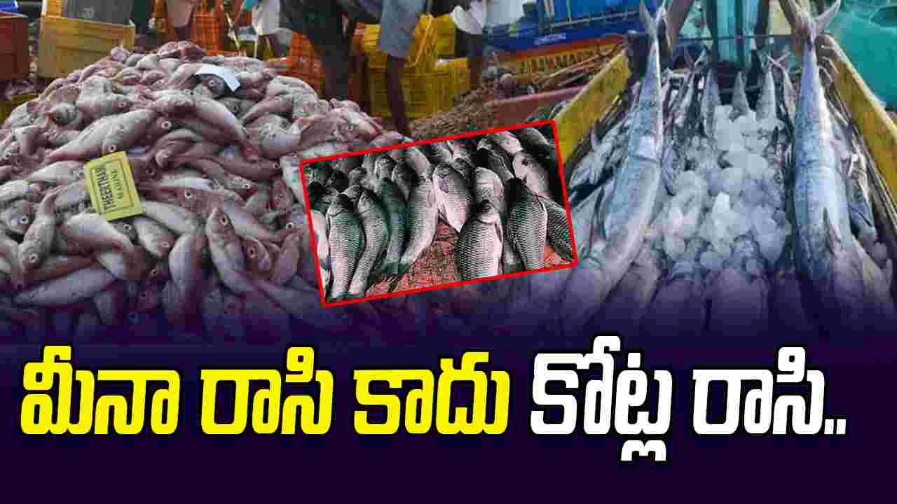 Ananthapuram News:  మీన రాసి.. ఉమ్మడి జిల్లాలో పెరిగిన మత్స్య సంపద