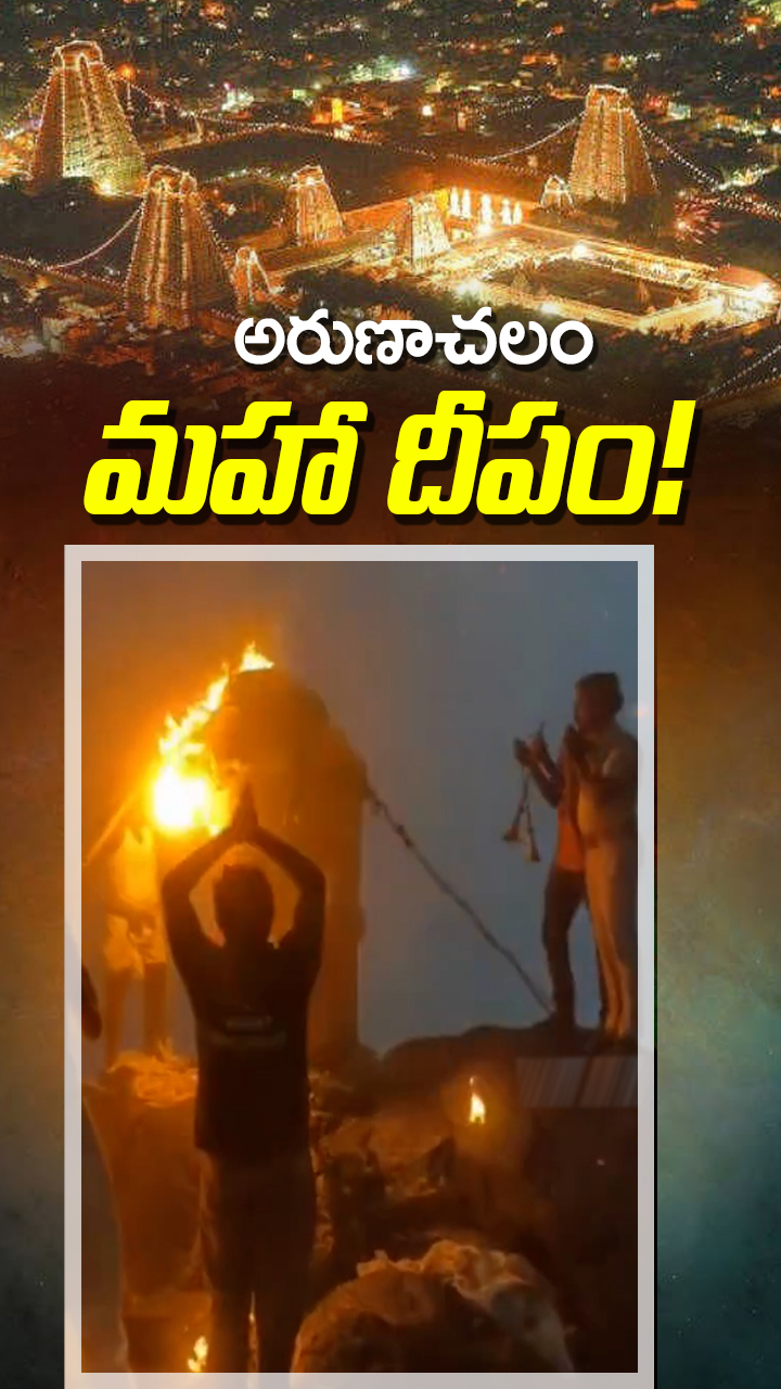 తిరువణ్ణామలై కొండపై...  మహా దీపం వీడియో!
