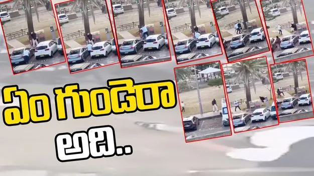 Australia Brave Man: ఆస్ట్రేలియా బీచ్ కాల్పుల దుండగుడ్ని ప్రాణాలొడ్డి పట్టుకున్న ధీశాలి..