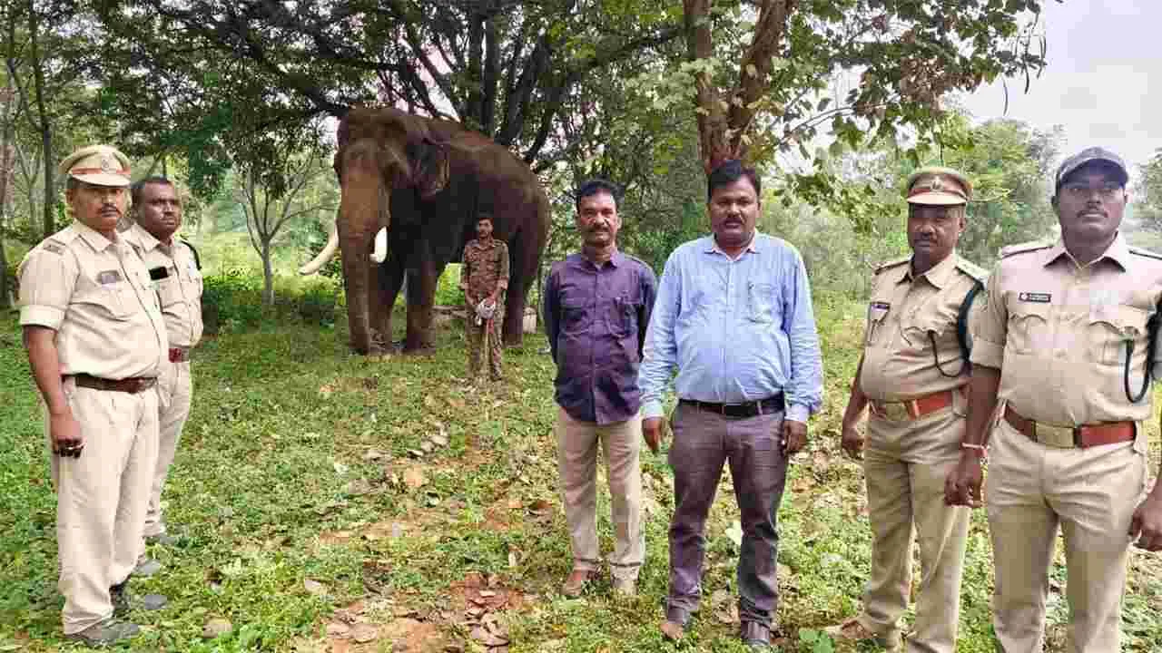 కుప్పానికి కుంకీలు