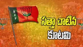 Maharashtra Local Body Polls: మహారాష్ట్ర స్థానిక ఎన్నికల్లో కూటమికి భారీ విజయం