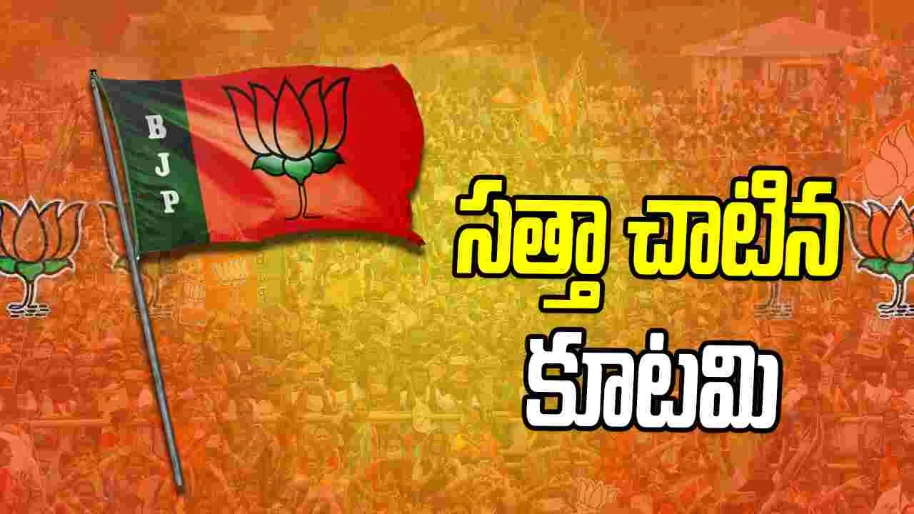 Maharashtra Local Body Polls: మహారాష్ట్ర స్థానిక ఎన్నికల్లో కూటమికి భారీ విజయం